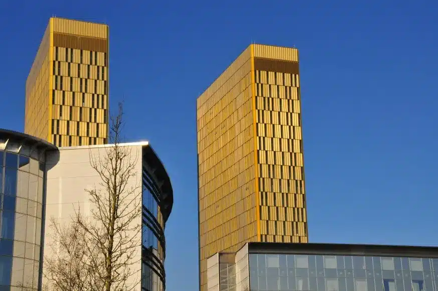 European Court of Justice (ECJ)