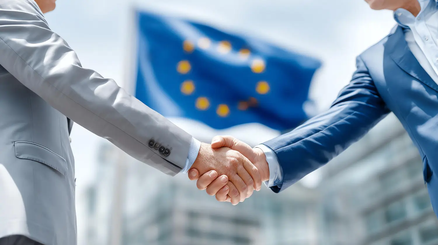 Businesses in the European Union
